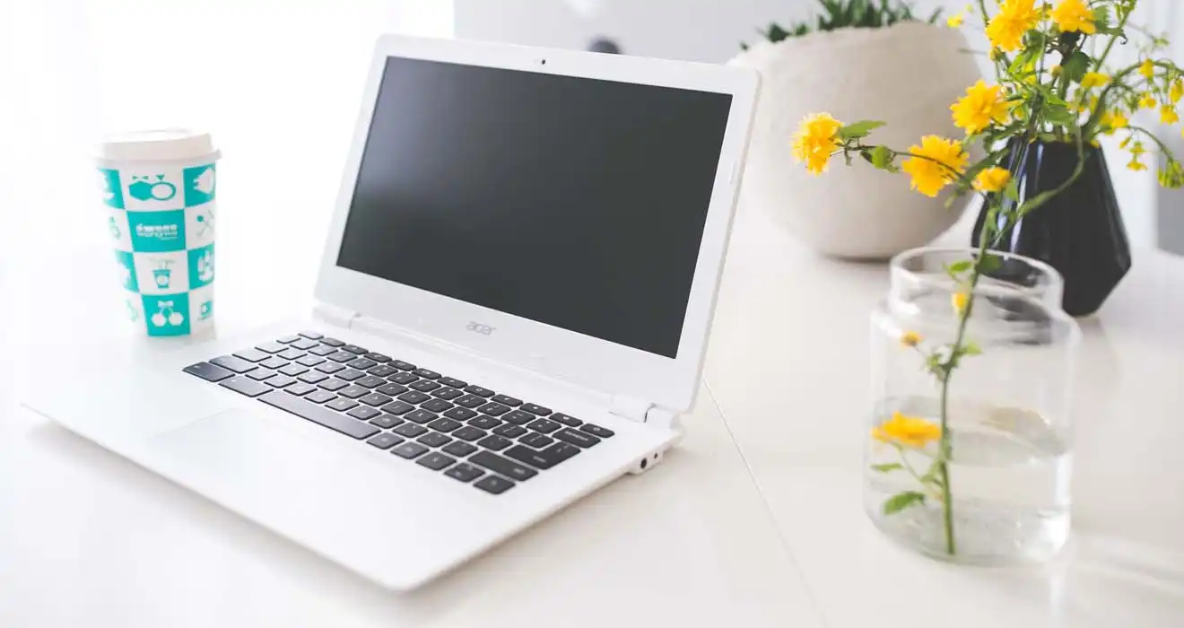Ремонт ноутбуков Acer в Люберцах